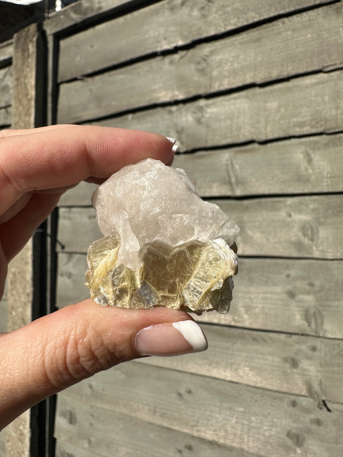 Yellow Mica with Quartz