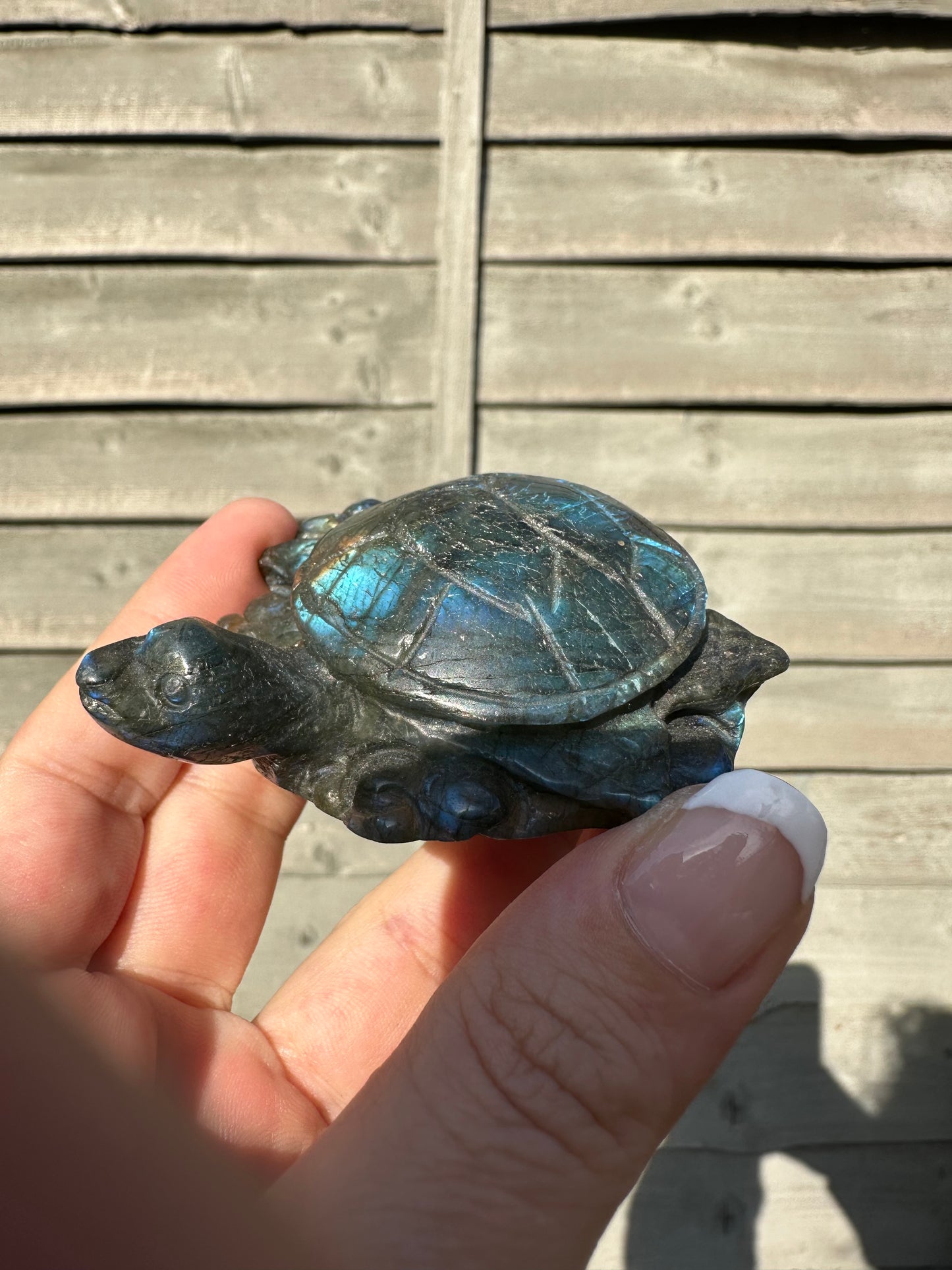 Labradorite Turtle Carving