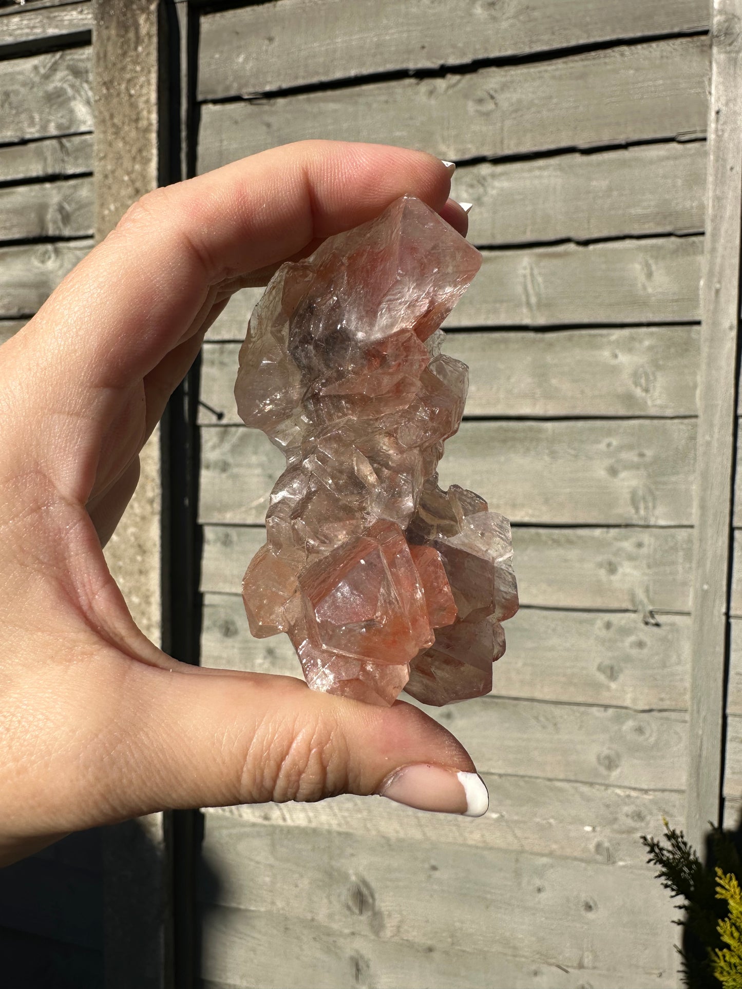 Red Benz Calcite Specimen 1