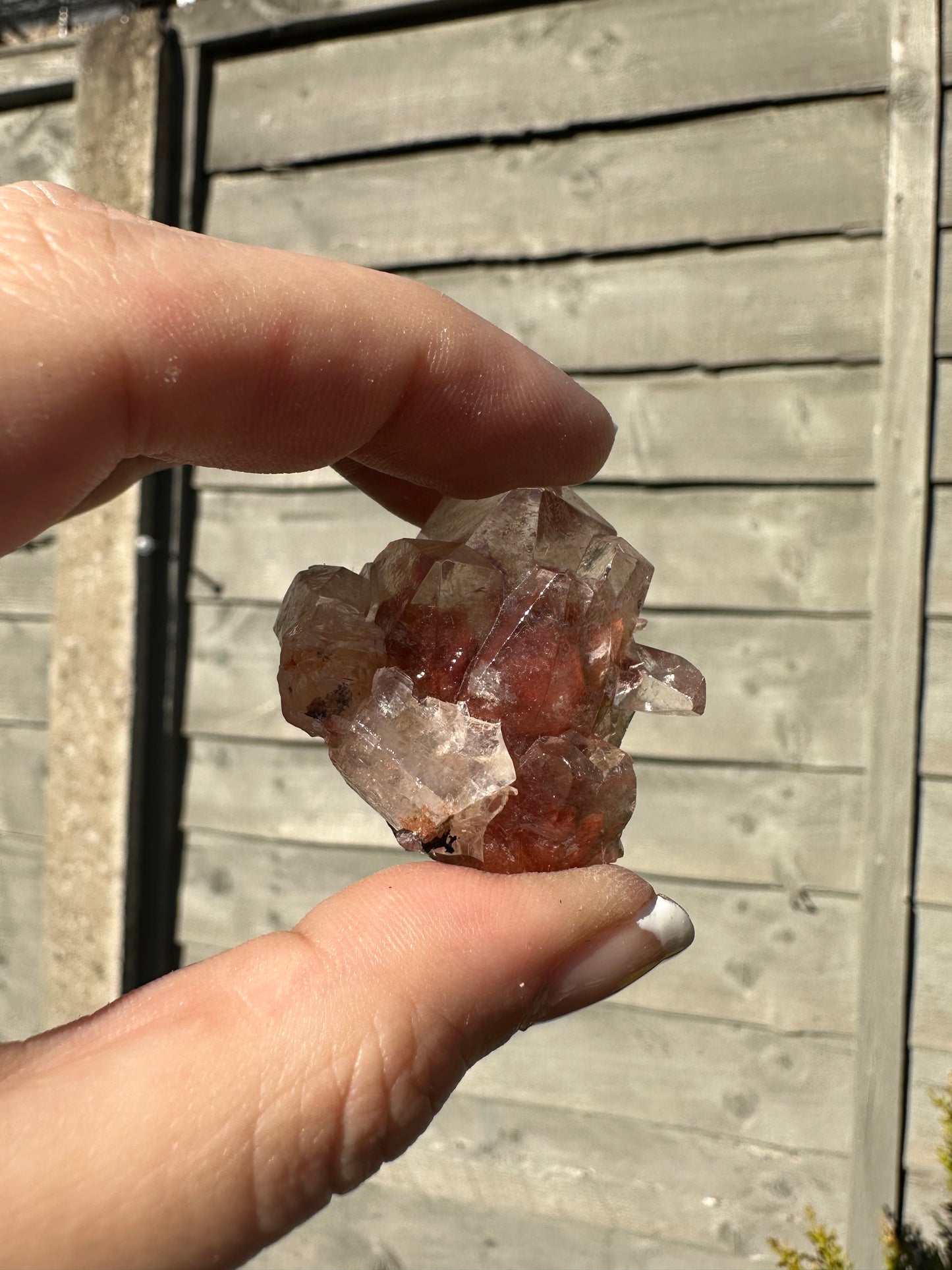 Red Benz Calcite Specimen 4