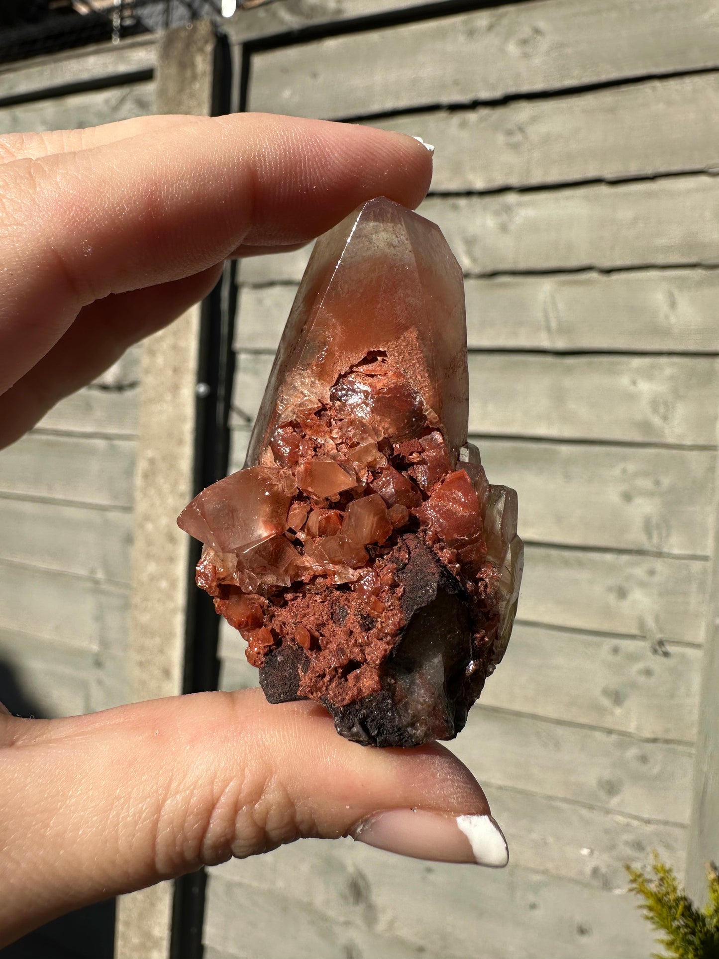 Red Benz Calcite Specimen 2
