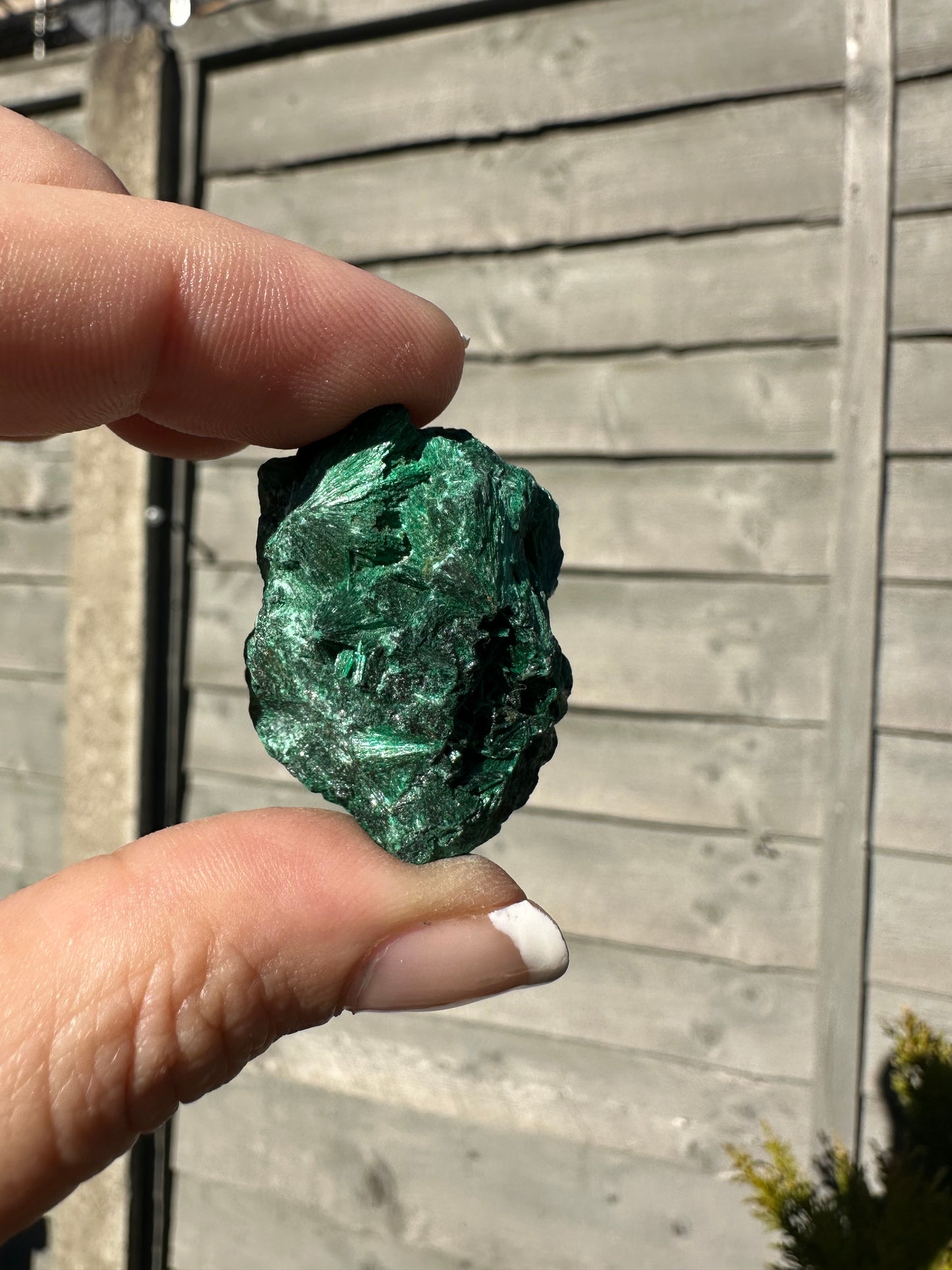 Raw Velvet Malachite Specimen 2
