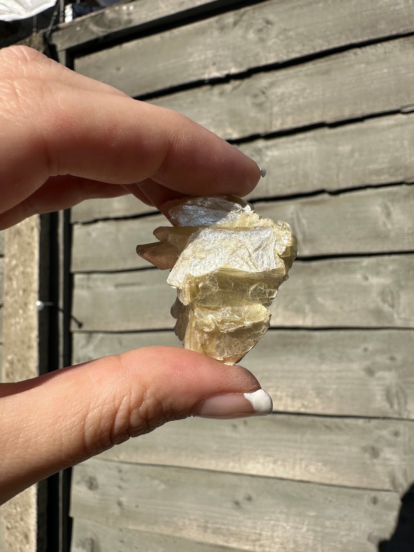 Yellow Mica